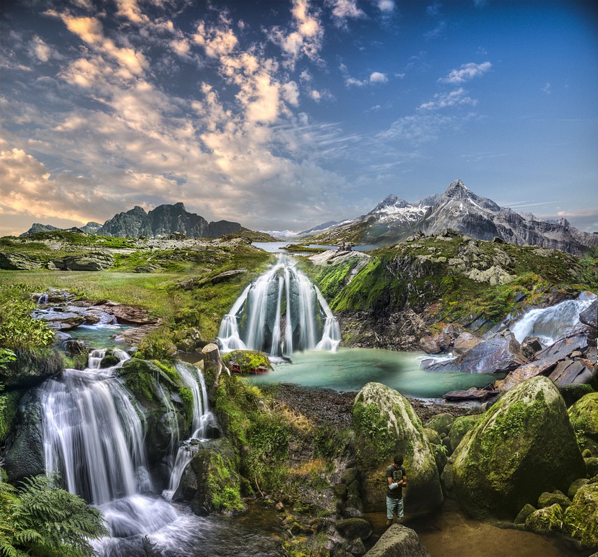 צילום: טל עמרם