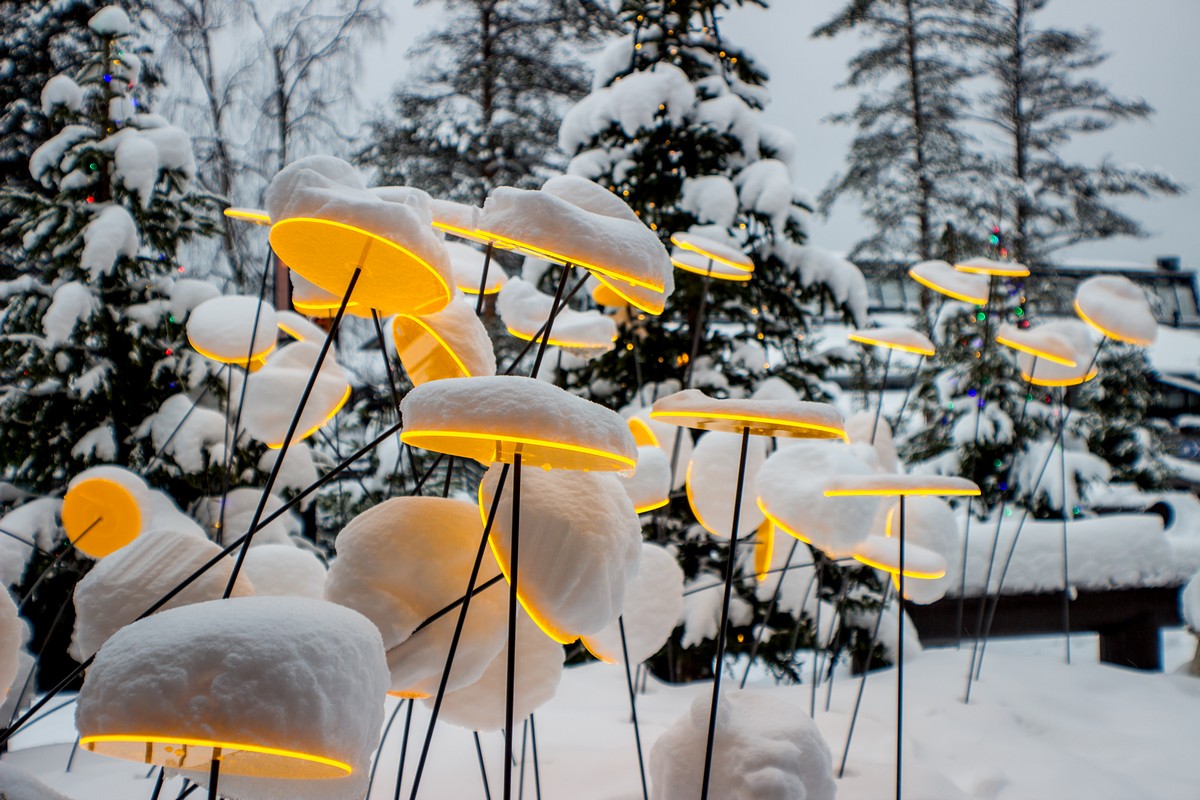 אנטון דיונדין