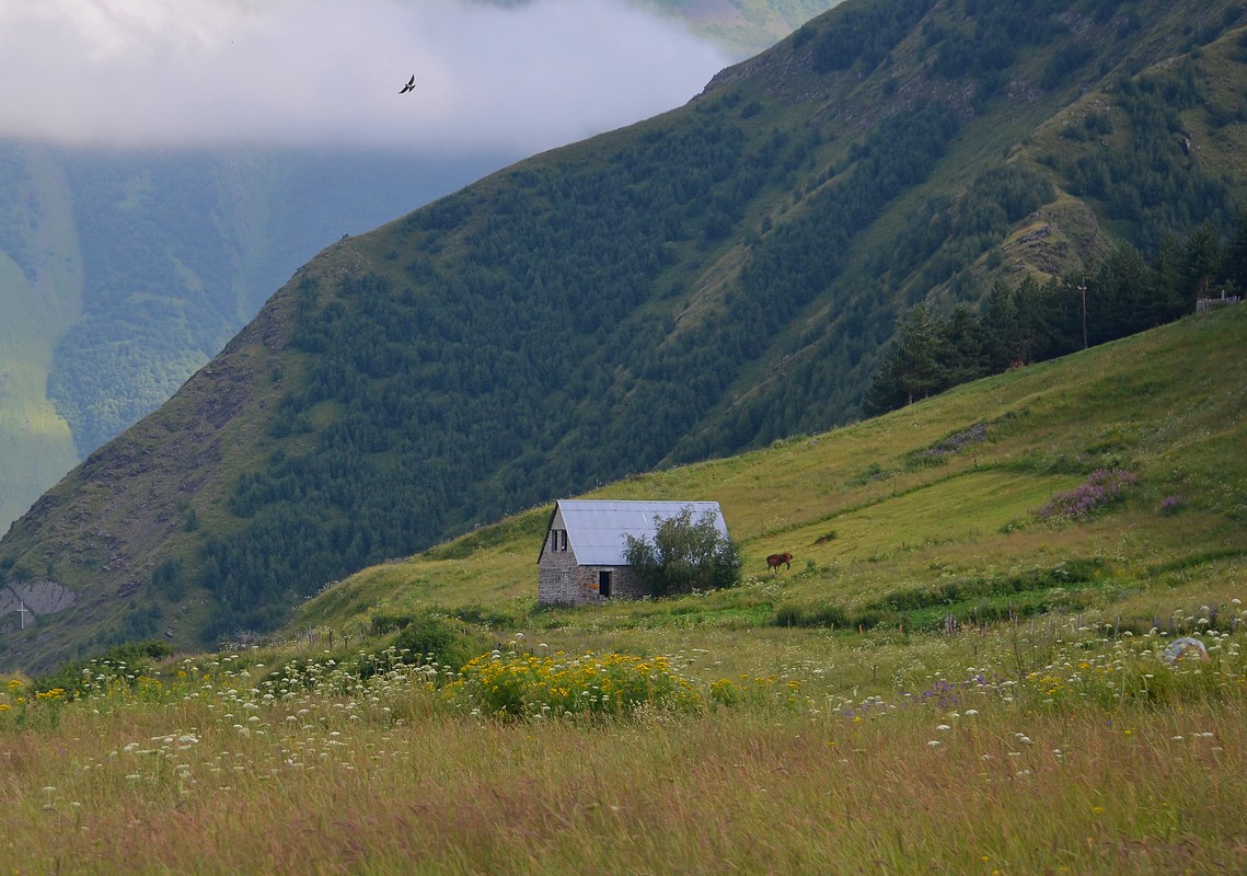 איציק איינהורן