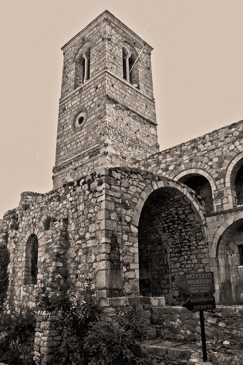 דרורה  בהרל 