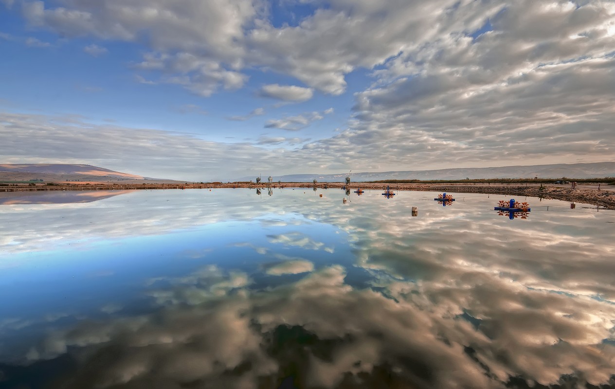 צילום: ‫שלום ניסימי‬‎
