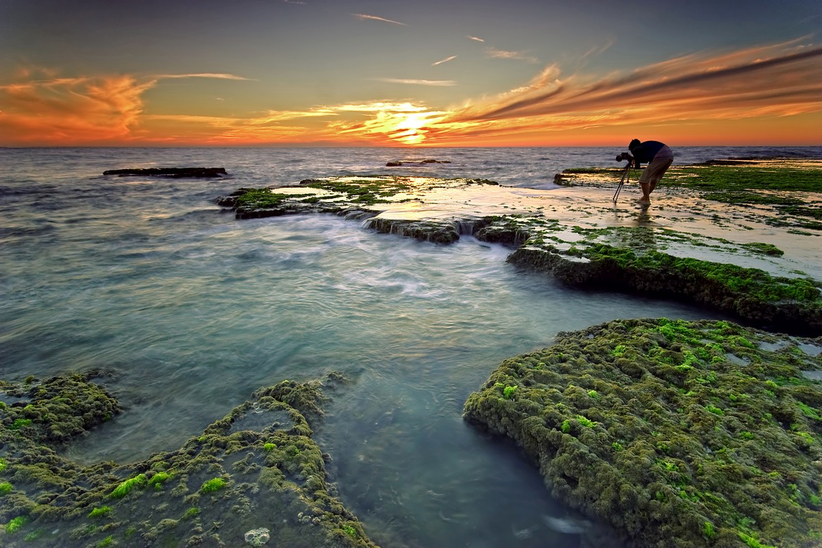 צילום: מוטי פדידה