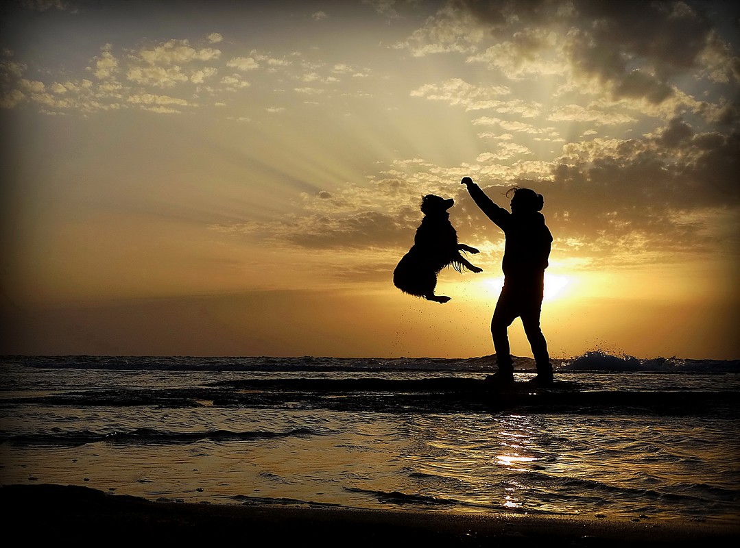 נאוה פמיליה