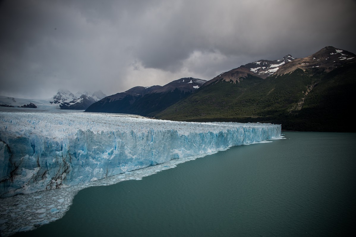 אייל אלקלעי