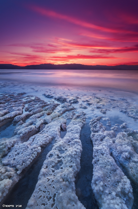 אביב מייסטר