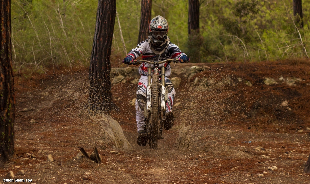 אלון שם טוב