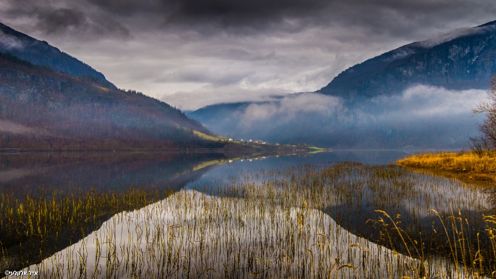 אייל אלקלעי