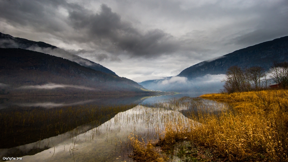 אייל אלקלעי