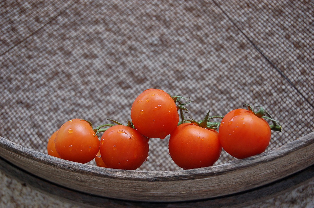 איש ומצלמתו