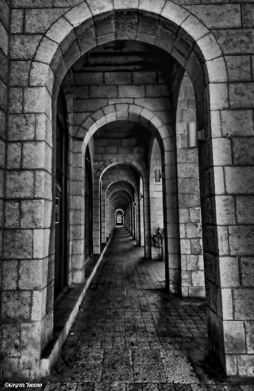 צילום: סמי  חזקיהו