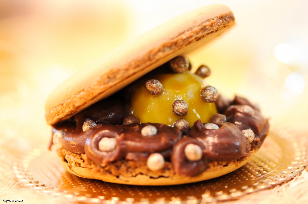 צופיה שטיין