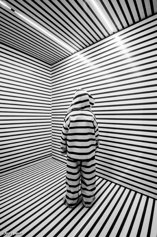 צילום: יהושע רעיף