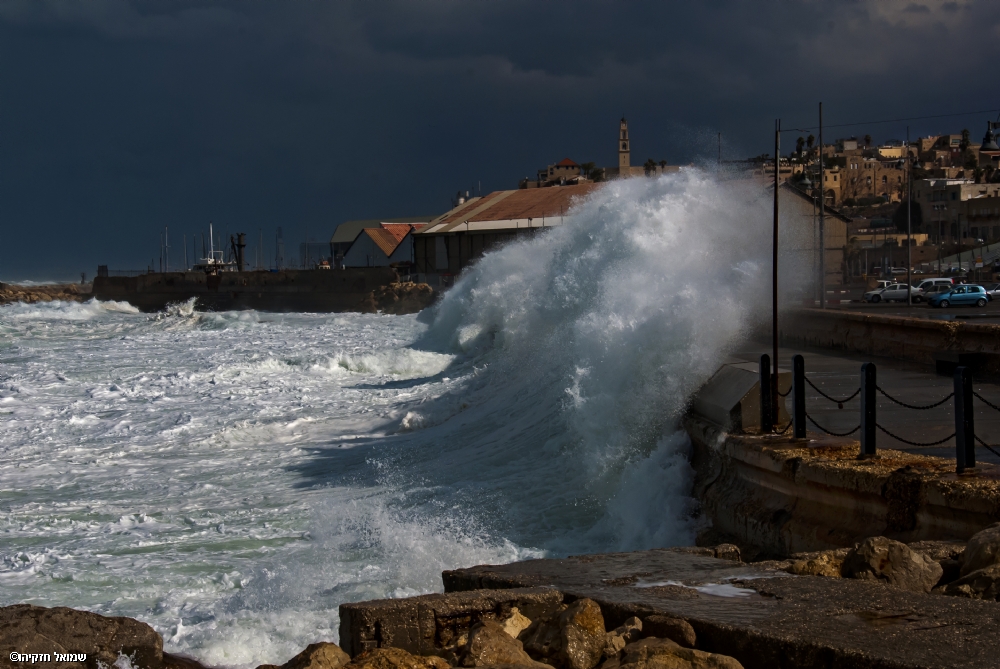 סמי  חזקיהו