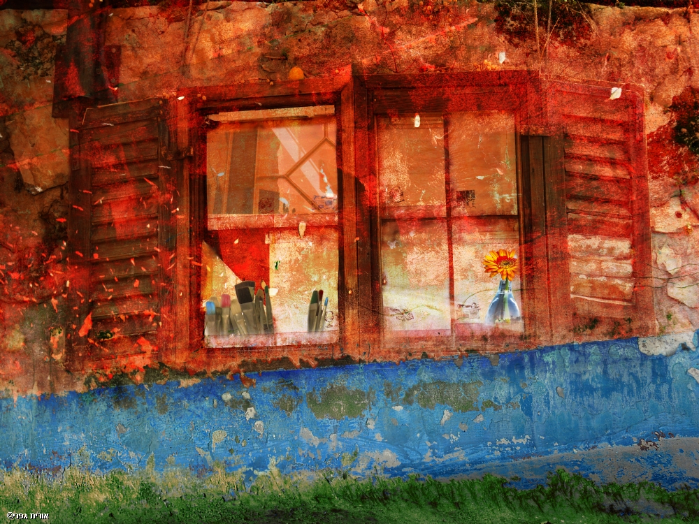 צילום: אורית גפני