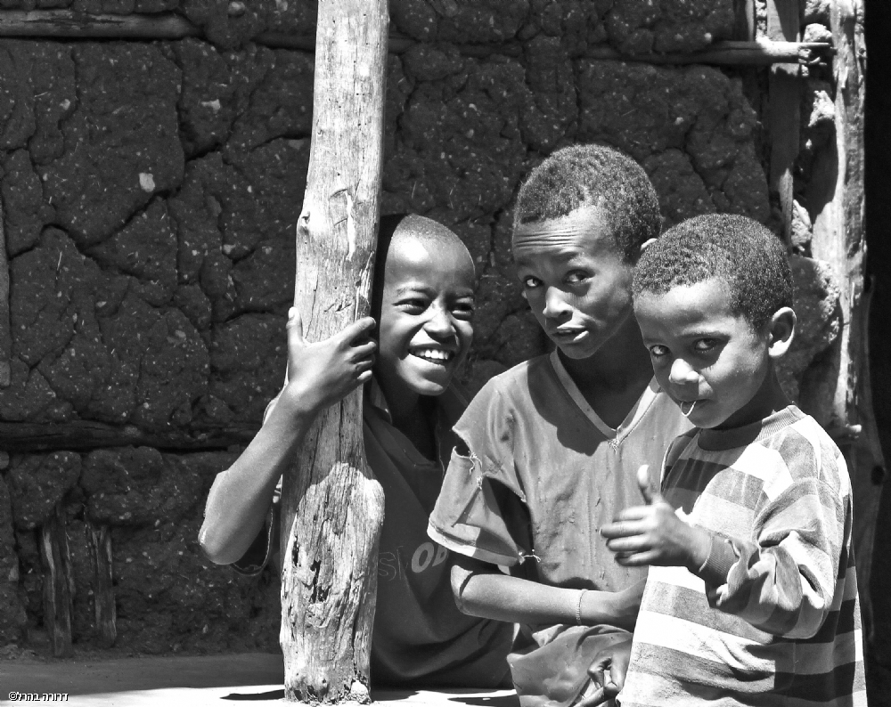 דרורה  בהרל 