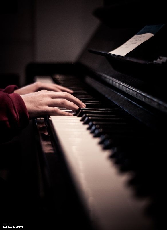 צילום: משה פילברג