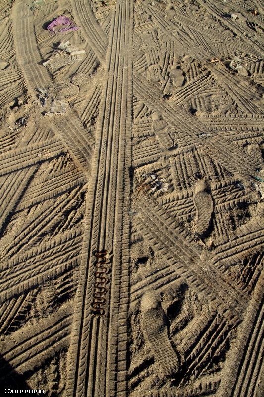 נורית פרידנטל