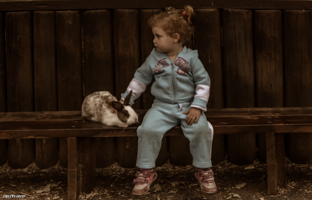 ימימה פלדמן