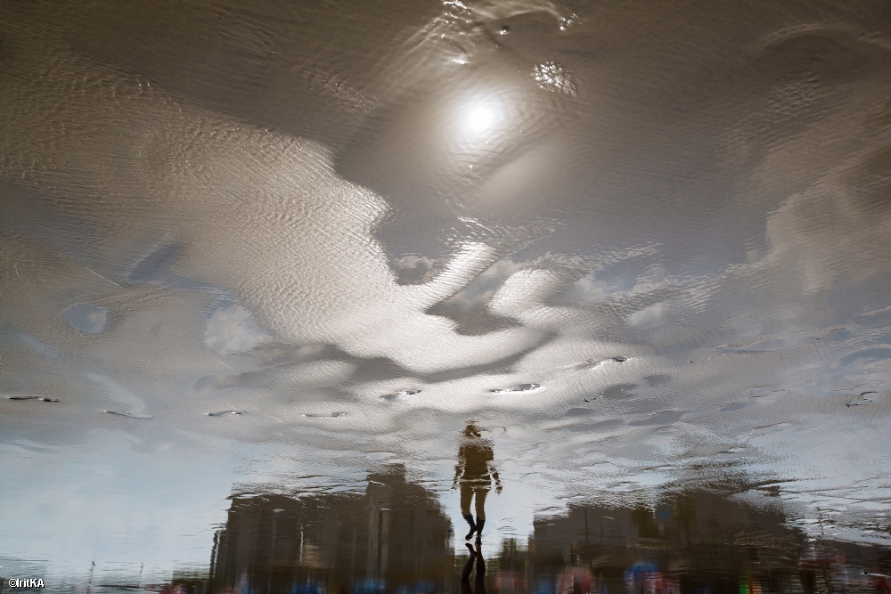 אירית אברמוביץ