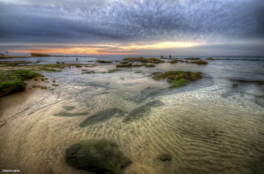 ‫שלום ניסימי‬‎
