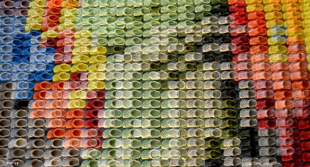 צילום: צבי שחר