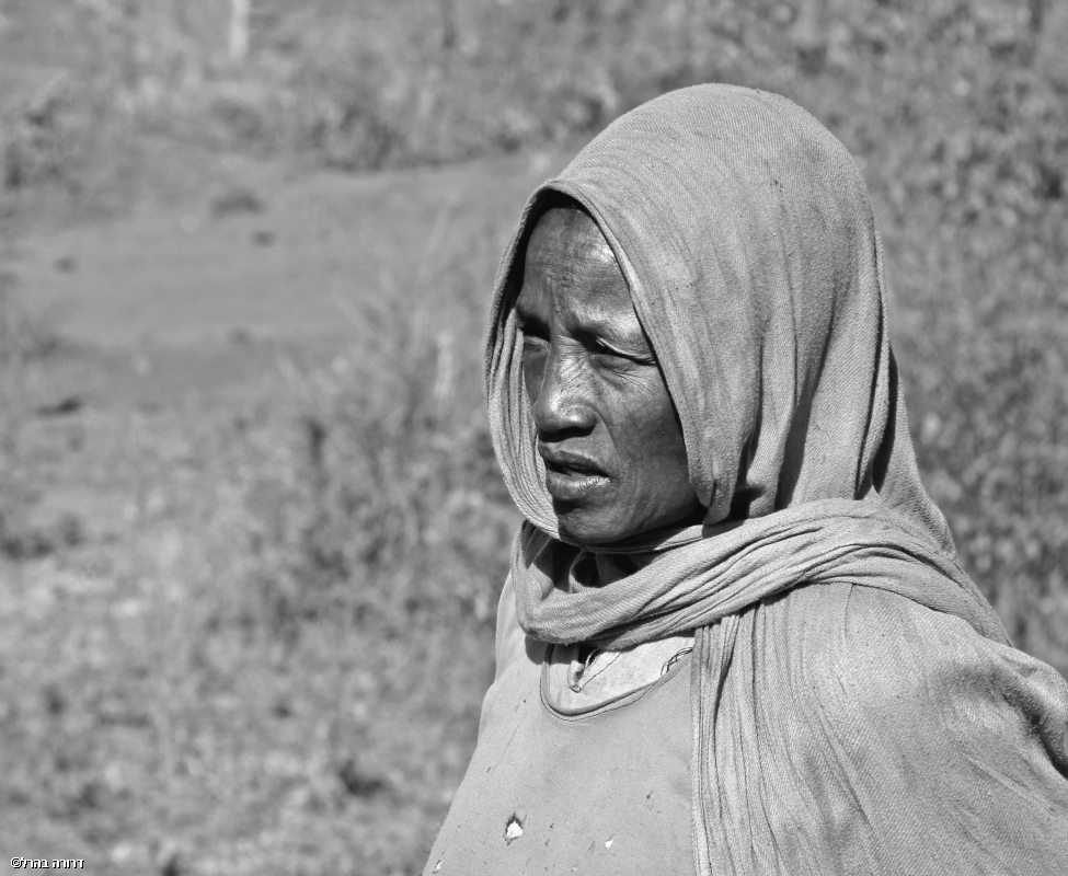 דרורה  בהרל 