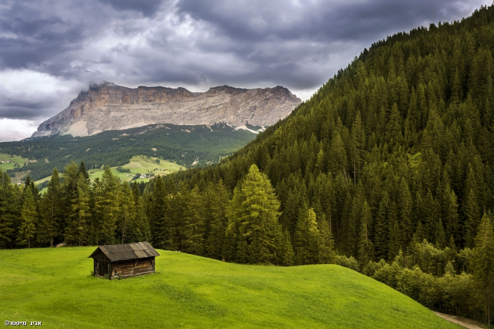 אביב מייסטר