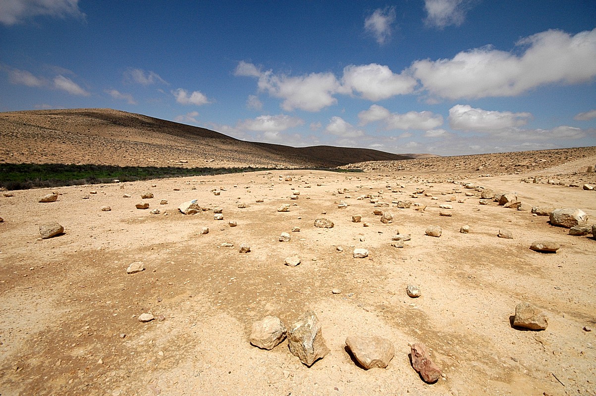 שמואל בינשטוק