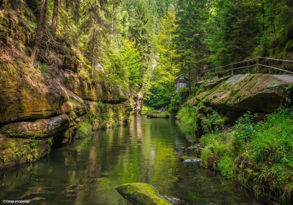 קונסטנטין קוטלר