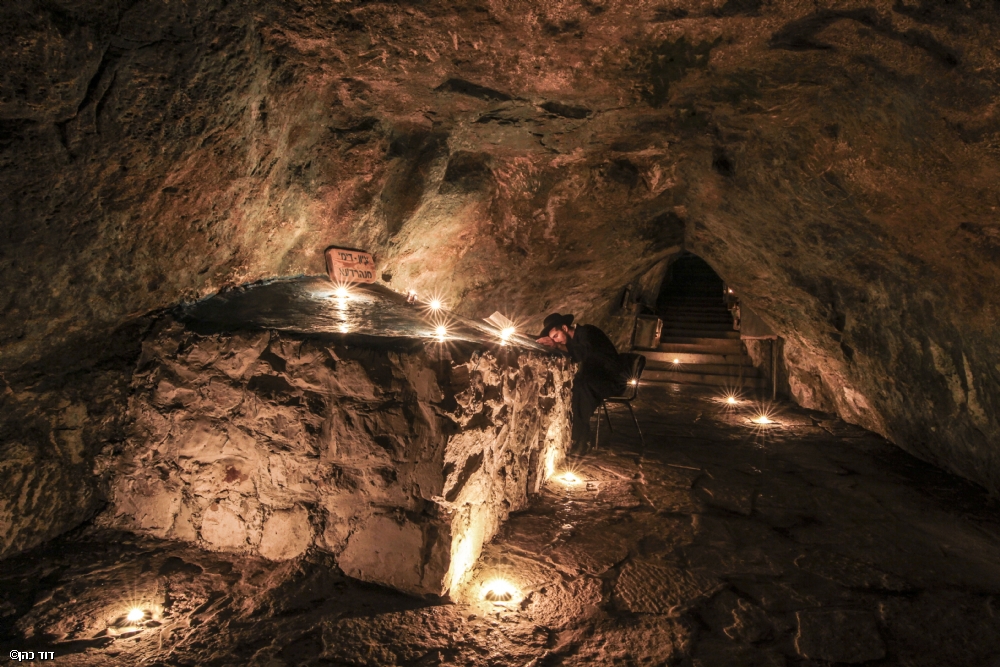 צילום: דוד כהן