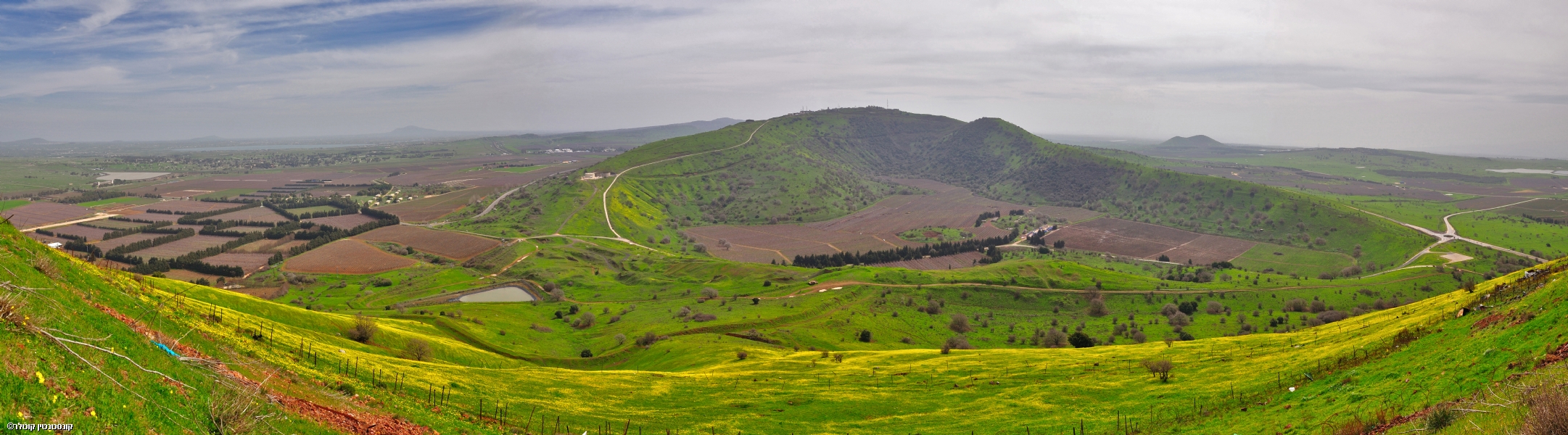 קונסטנטין קוטלר