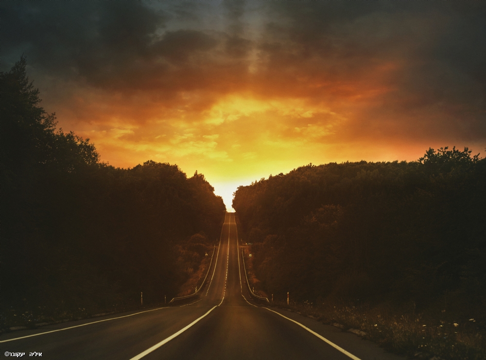 איליה   יעקובר