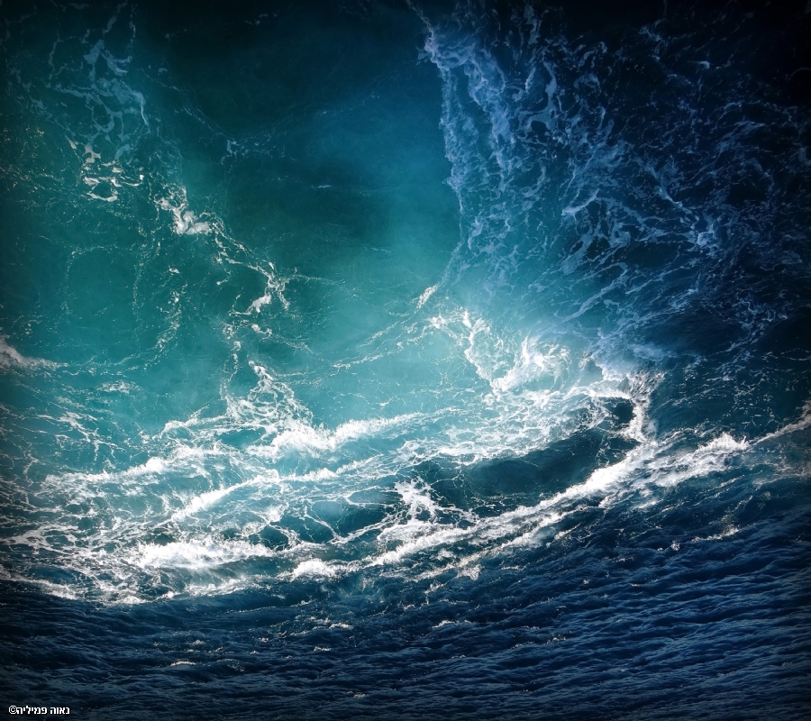 נאוה פמיליה