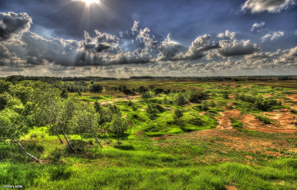 ‫שלום ניסימי‬‎