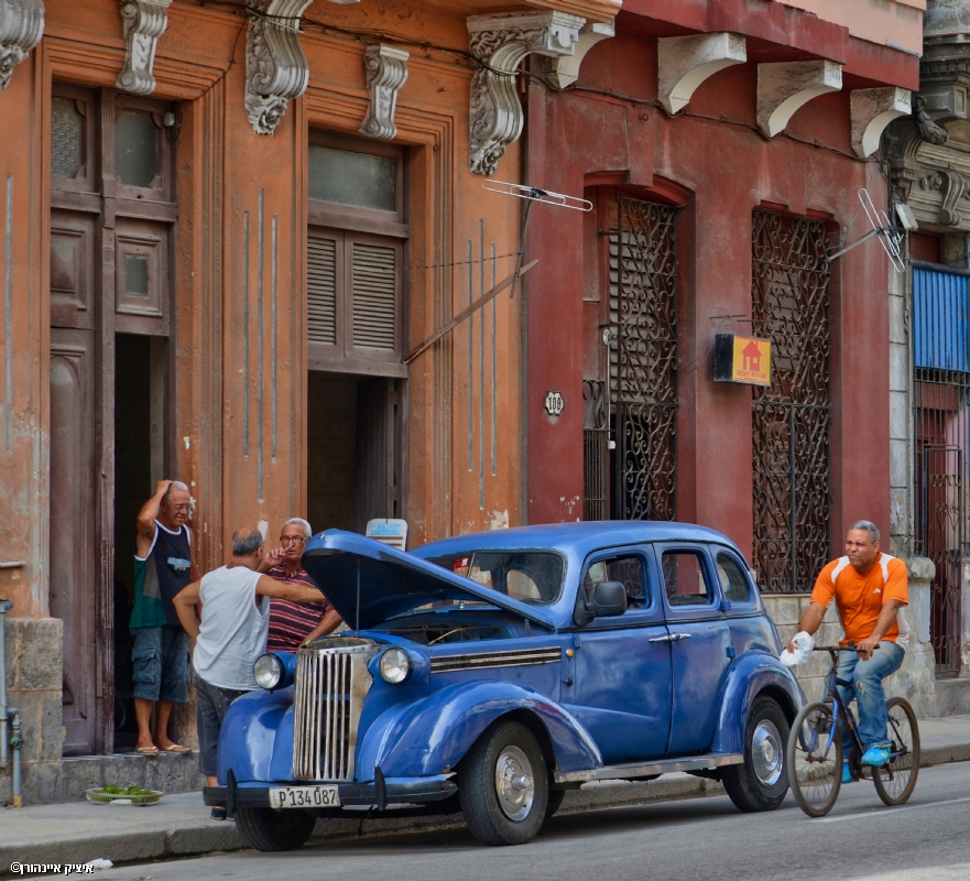 איציק איינהורן