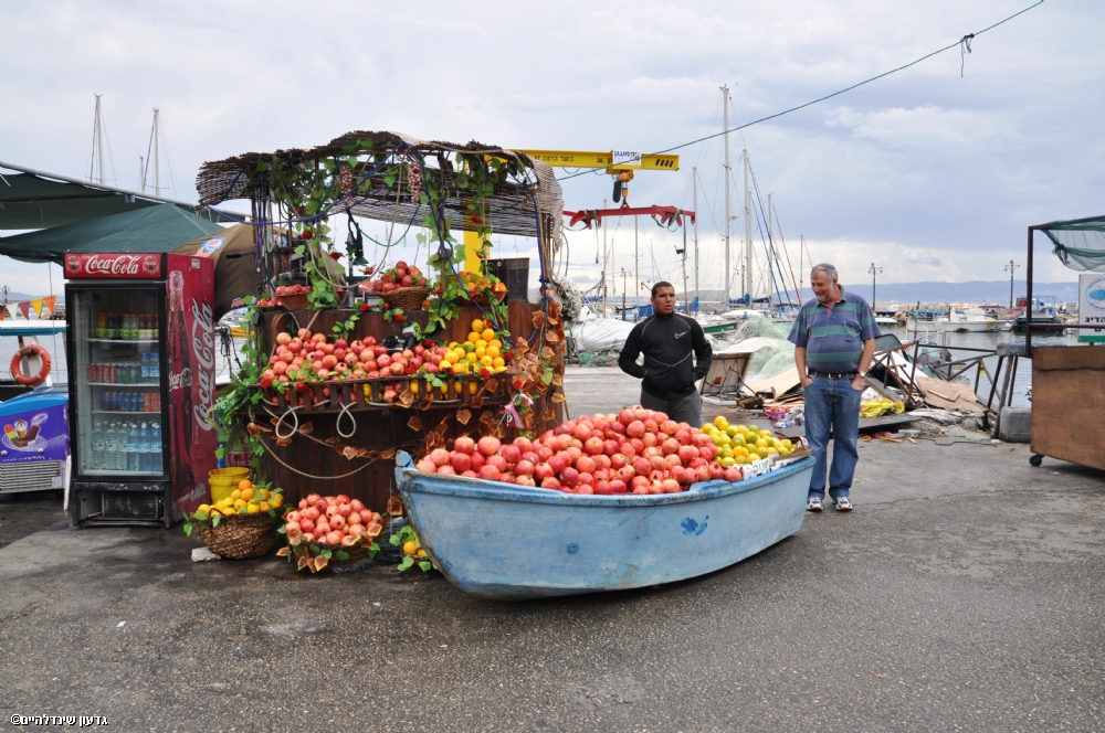 גדעון שינדלהיים