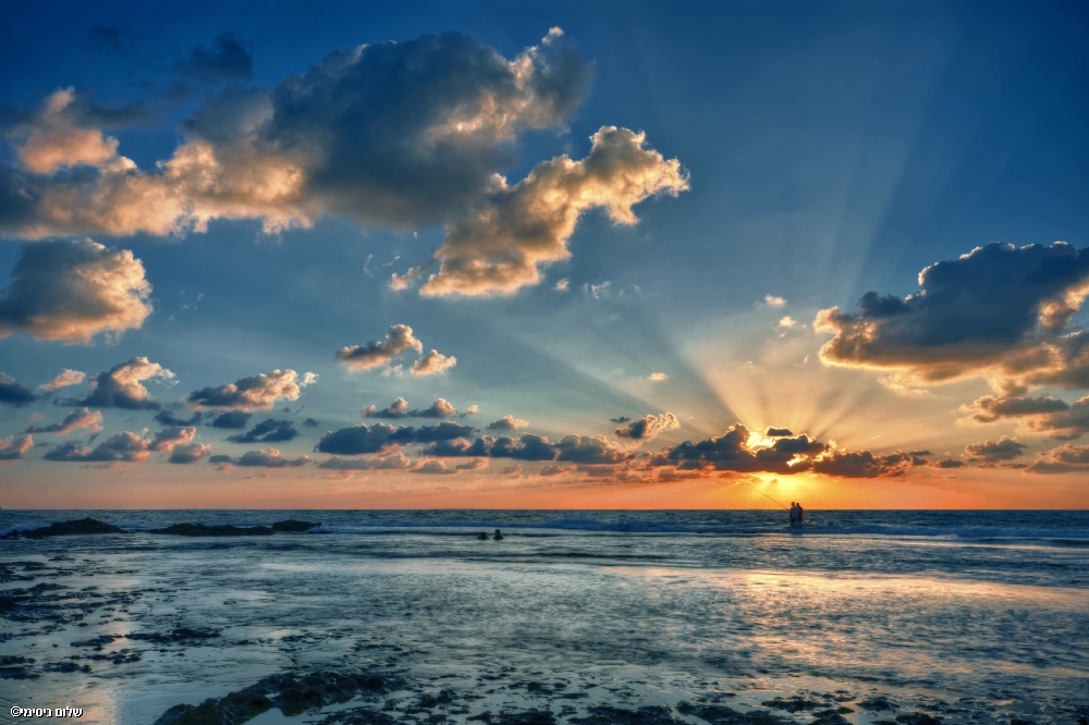 ‫שלום ניסימי‬‎