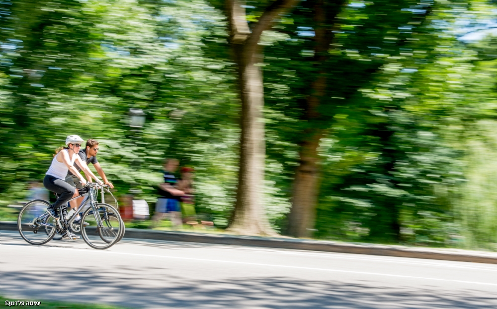 ימימה פלדמן
