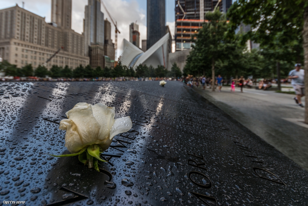 ימימה פלדמן
