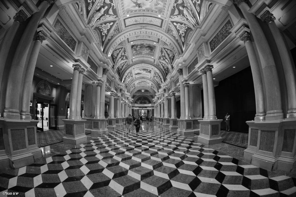 צילום: יורם סגול