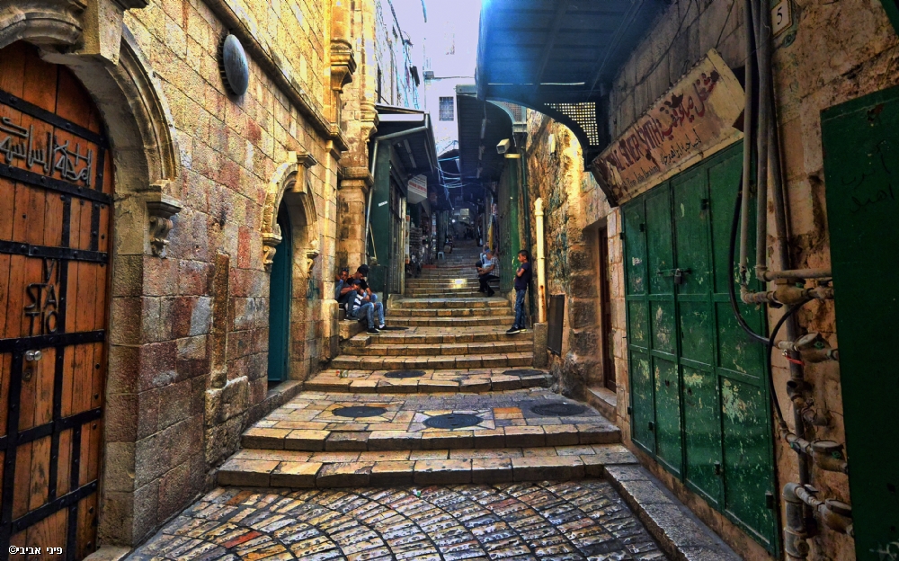 פיני  אביבי