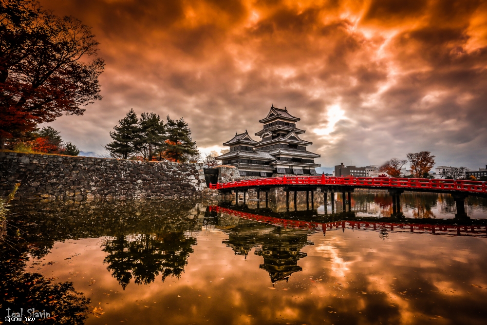 צילום: יגאל  סלבין