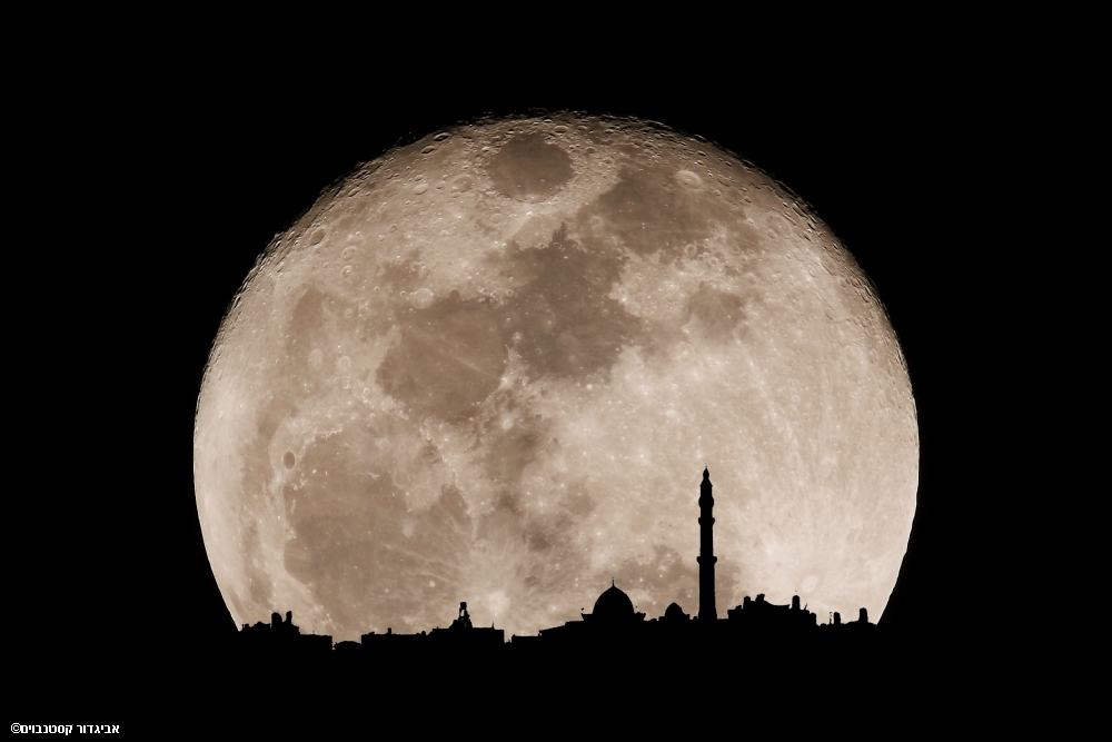 אביגדור קסטנבוים