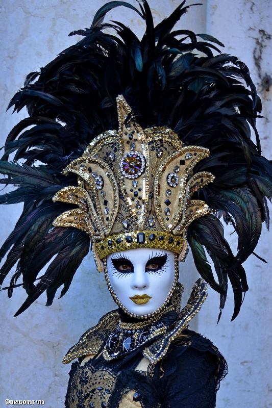 נתי זמוסטיאנו