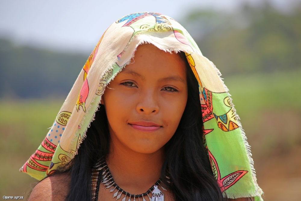 צביקה שיאון