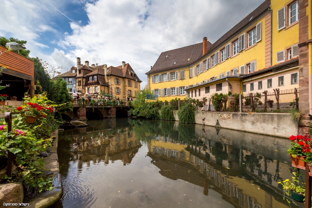 ניקולאי טטרצוק