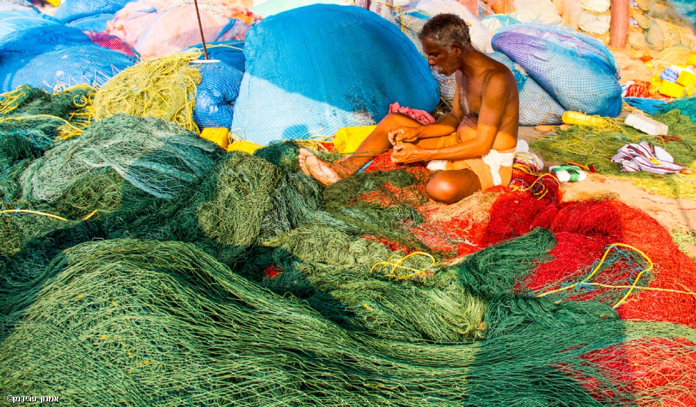 אמנון  פרידמן