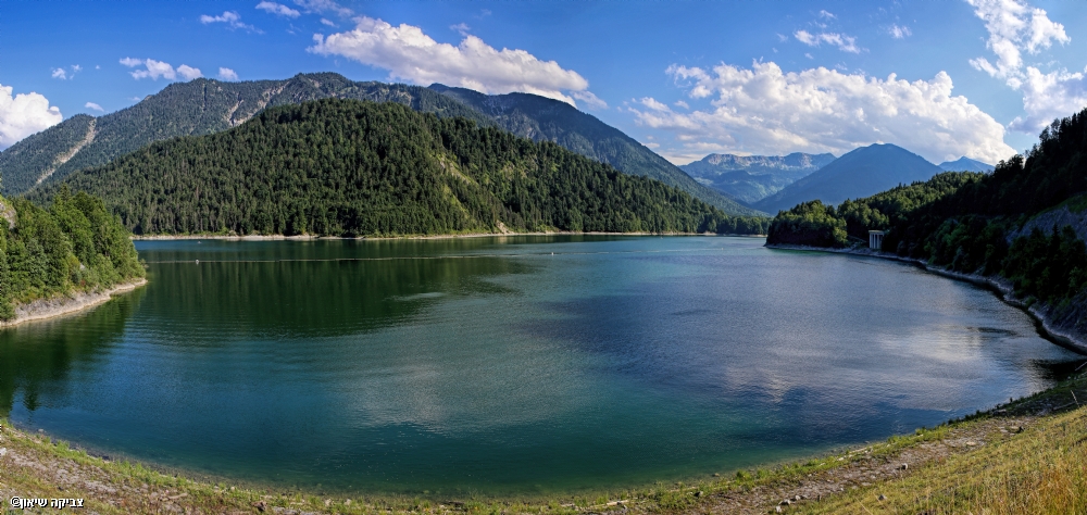 צביקה שיאון