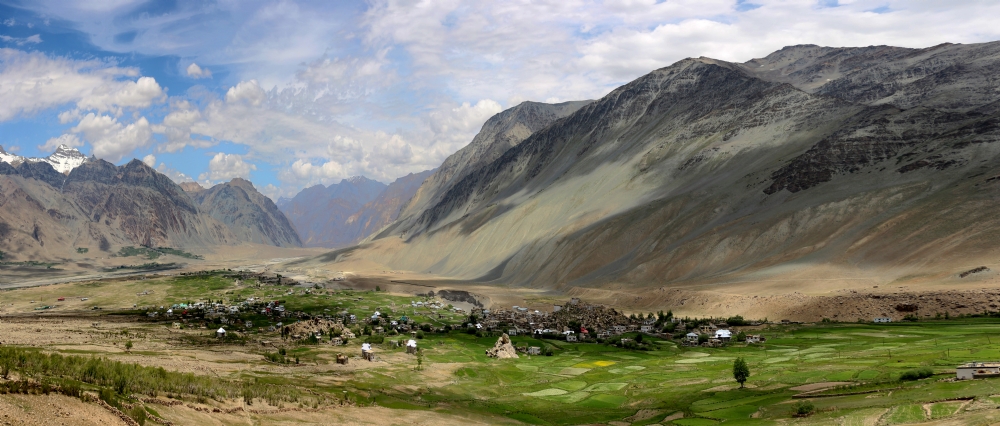 דרורה  בהרל 