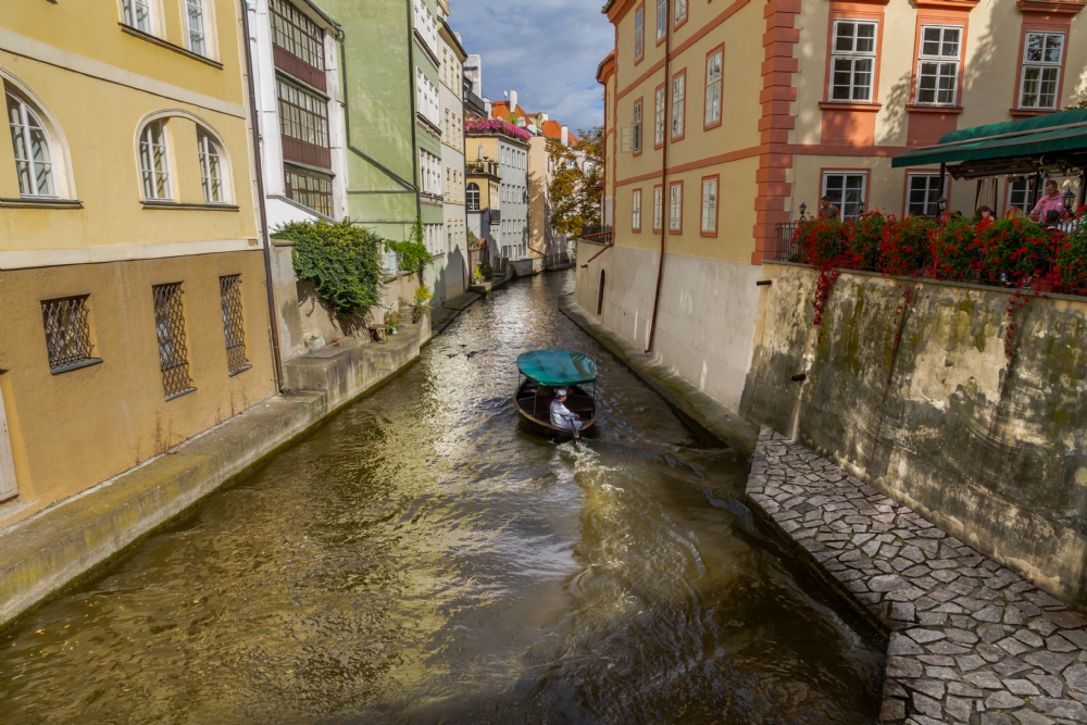חזי גולדנברג
